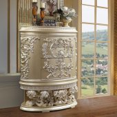 Vatican Chest BD00465 in Champagne Silver by Acme