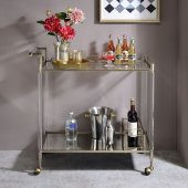 Cirro Serving Cart AC00160 Antique Mirror & Wire Brass by Acme