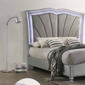 Bowfield Upholstered Bed 310048 - Grey Velvet & Silver - Coaster