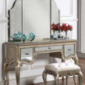 Esteban Vanity Set 22209 in Antique Champagne by Acme