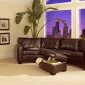 Curved Sectional Sofa & Ottoman Set in Dark Brown Bycast Leather