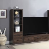 Harel Entertainment Center LV00444 in Walnut by Acme