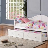 300053 Twin Daybed w/Trundle in White by Coaster