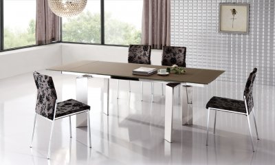 Brown Stain & Scratch Resistant Glass Top Modern Dining Table