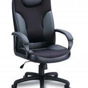 Leather And Mesh Executive Chair w/Padded Head Rest