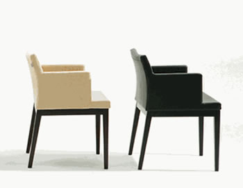 Dining Chairs Modern