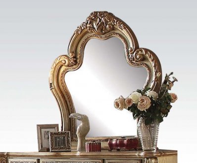 Dresden Mirror 23164 in Gold Patina by Acme