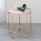 Alivia Coffee Table 3PC Set 81835 in Frosted Glass & Rose Gold