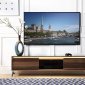 Raceloma TV Stand 91997 in Walnut by Acme w/LED