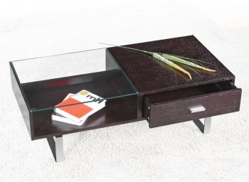 Wenge Color Finish Contemporary Coffee Table [AHUCT-C239B]