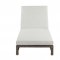 Salena Patio Sun Lounge Chair OT01093 in Beige & Gray by Acme