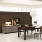 Brown Color Lacquered Finish Contemporary Dining Table