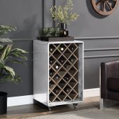 Raini Wine Cabinet AC01995 in Aluminum by Acme