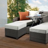 Salena Patio Sectional & Ottoman 45010 in Gray & Beige by Acme