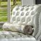 Dresden Chaise AC01693 in PU & Antique White by Acme