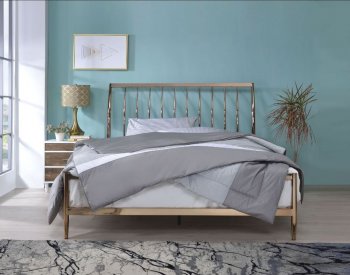 Marianne Bed 22690Q in Copper by Acme w/Optional Nightstands [AMB-22690Q Marianne]