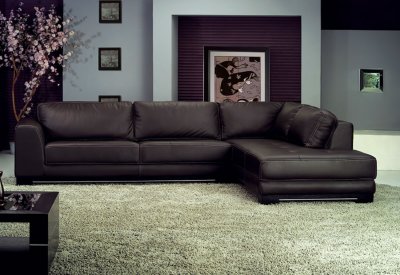 SF6573 Sectional Sofa in Brown Full Leather by At Home USA