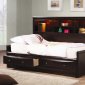 Phoenix 400410 Daybed in Cappuccino by Coaster w/Options
