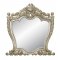 Danae Mirror BD01236 in Champagne & Gold by Acme