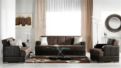 Elegant Two-Tone Living Room with Storage Sleeper Sofa
