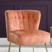 Sambell Accent Chair AC00126 in Burnt Orange Velvet by Acme