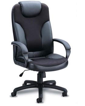 Leather And Mesh Executive Chair w/Padded Head Rest [CROC-491-800002]