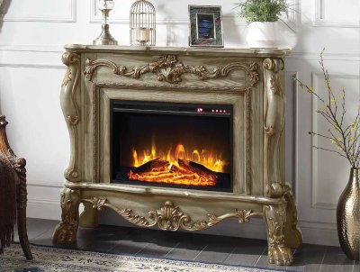 Dresden Fireplace AC01308 in Gold Patina by Acme
